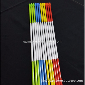 Colorful Driveway Markers/ Snow stake